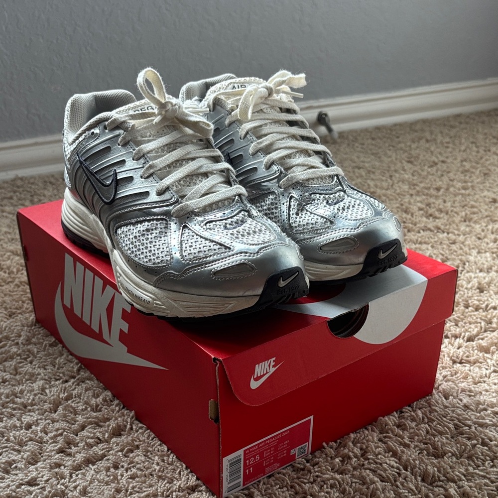 Nike Air Pegasus 2k5 Chrome